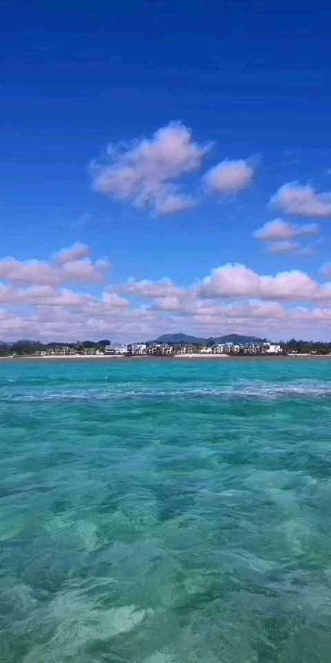 毛里求斯出海蓝湾，哪里的海水都是蓝色的，只是深浅不同，颜色各异，蓝湾的海水清澈见底，珊瑚清楚的简直就