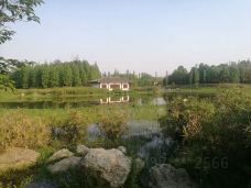 凤凰湖湿地公园-成都-易砚堂