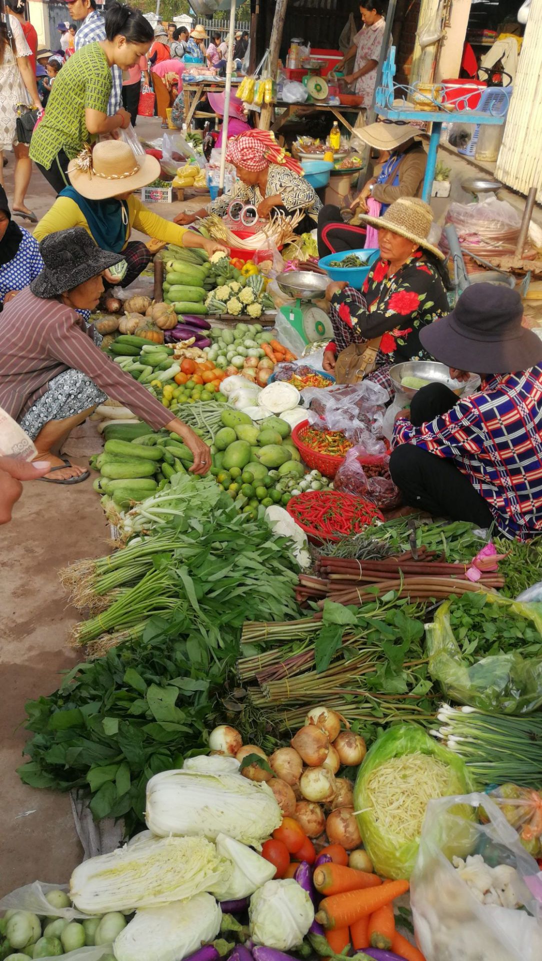 柬埔寨  貢布市  菜市場小販