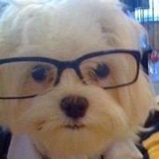 喂你你你你你心痛么