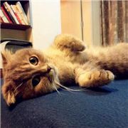 请原谅他的这壹世莽撞