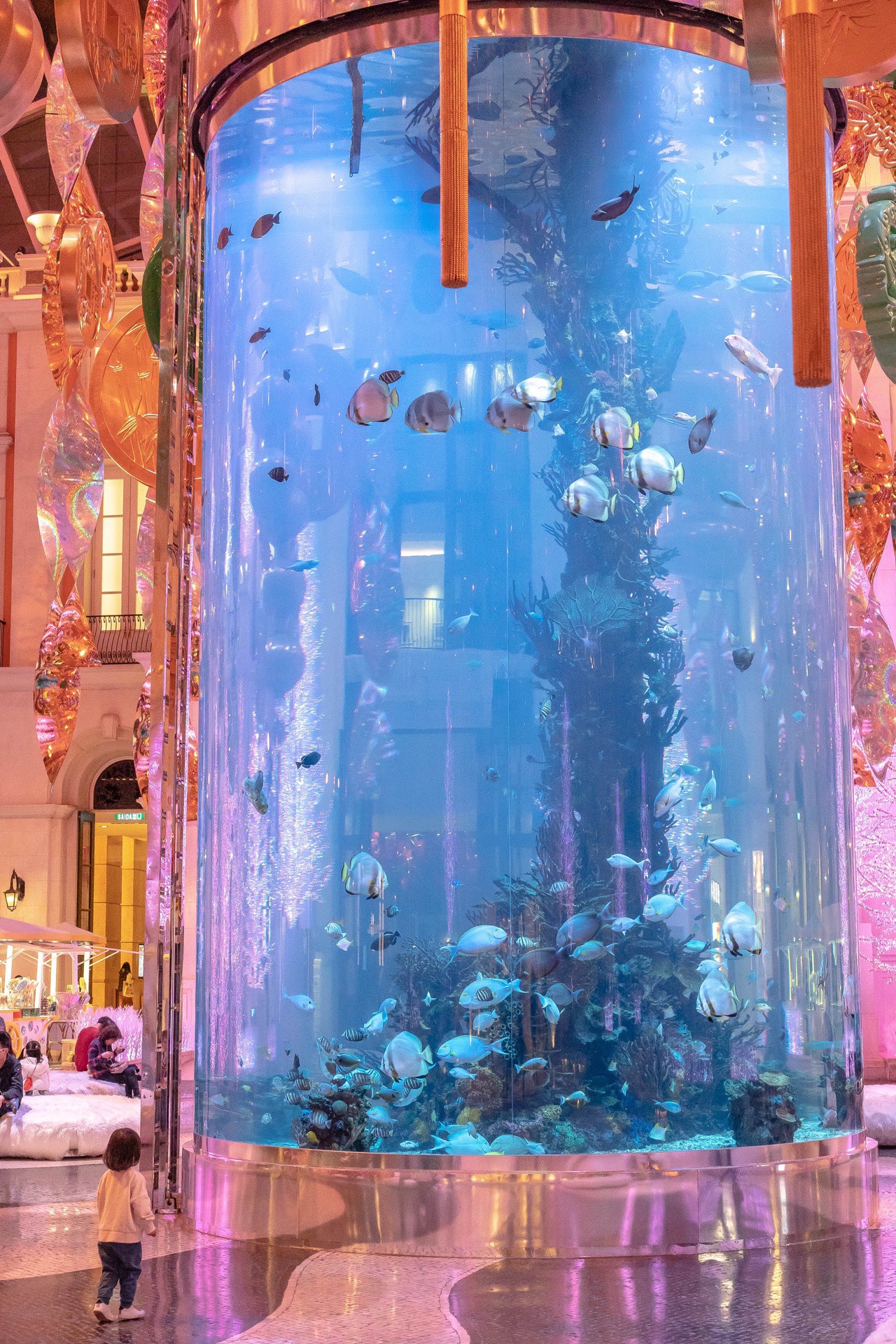 新兴水族馆