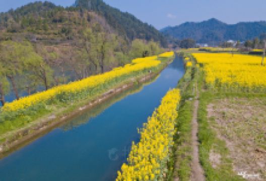 甲路伞购物图片