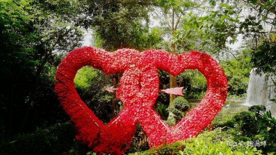 Sanya Tropical Rainforest Square