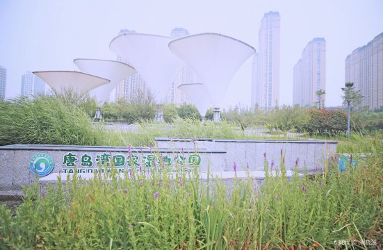 青岛唐岛湾
