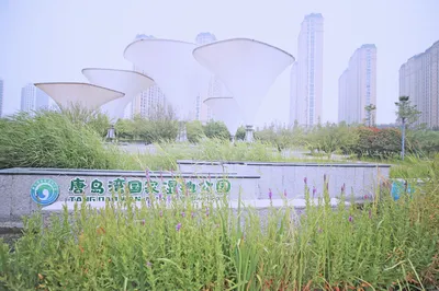 青岛唐岛湾