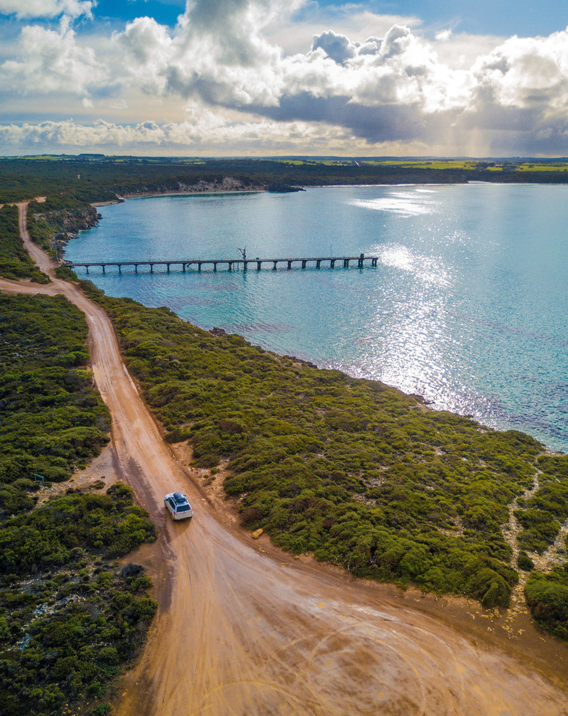 #南澳萌物# 南澳大利亚州（ south australia ）