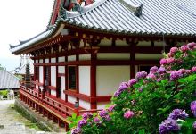 矢田寺景点图片