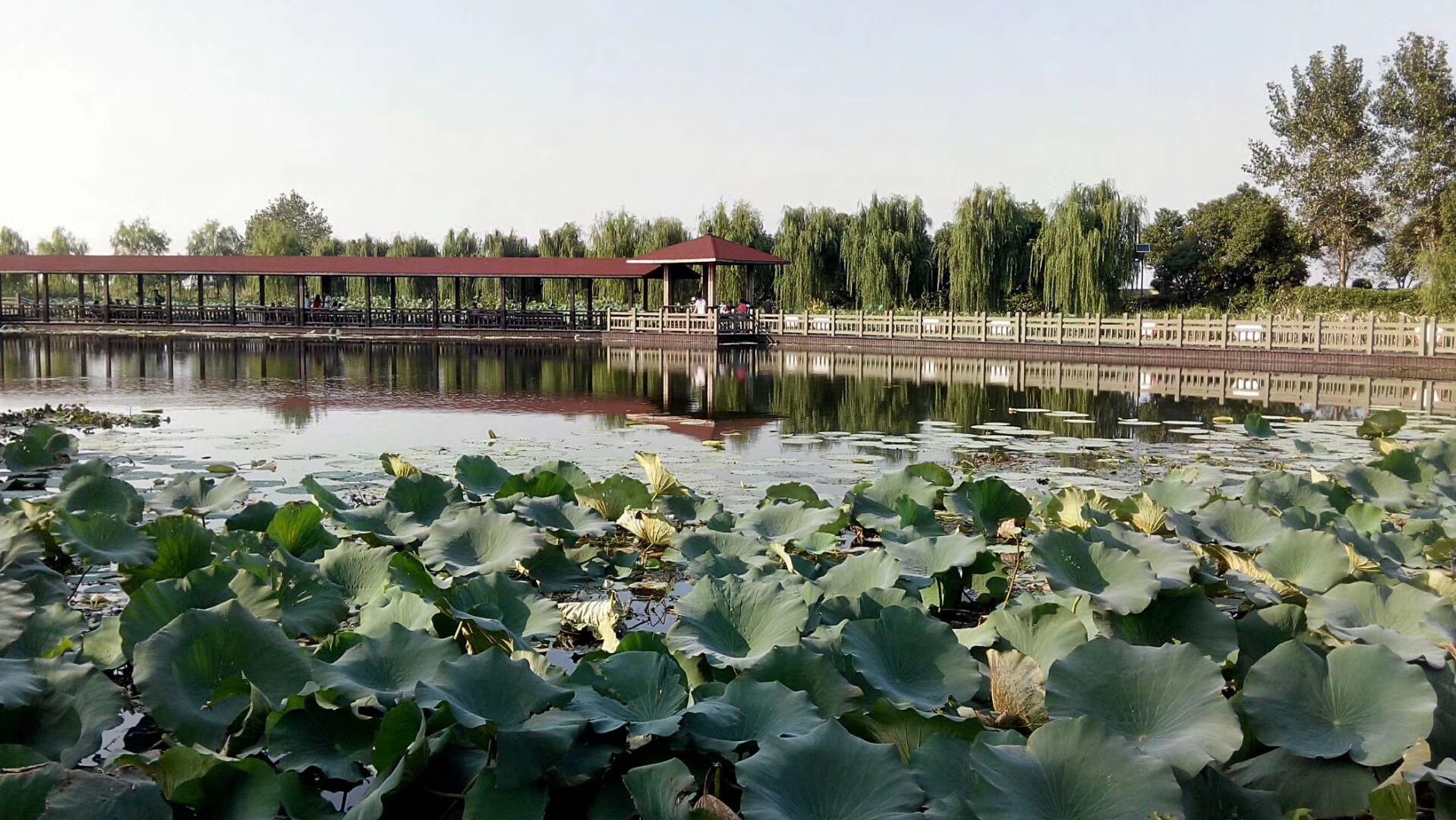 蔡浜村