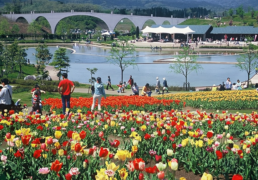 日本「国营越后丘陵公园」号称是长冈市的后花园，是春夏秋赏花运动、冬天可滑雪橇的大型多功能丘陵公园。全