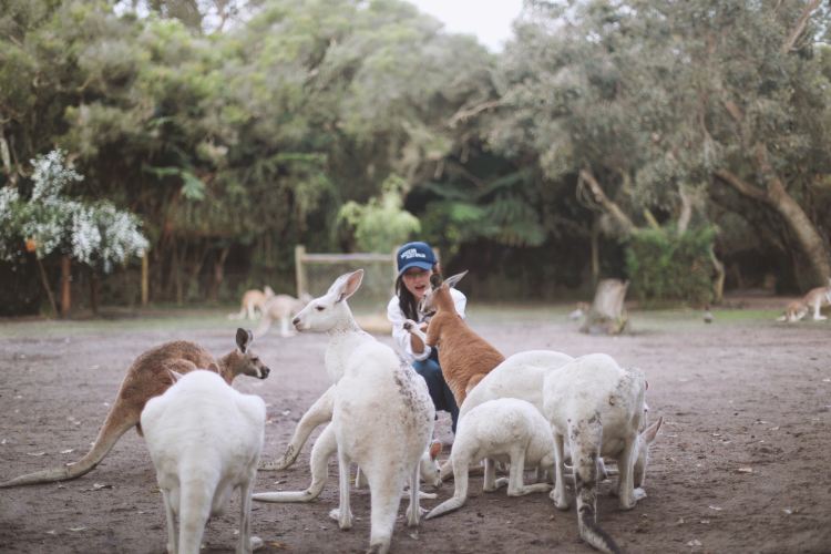 Caversham Wildlife Park