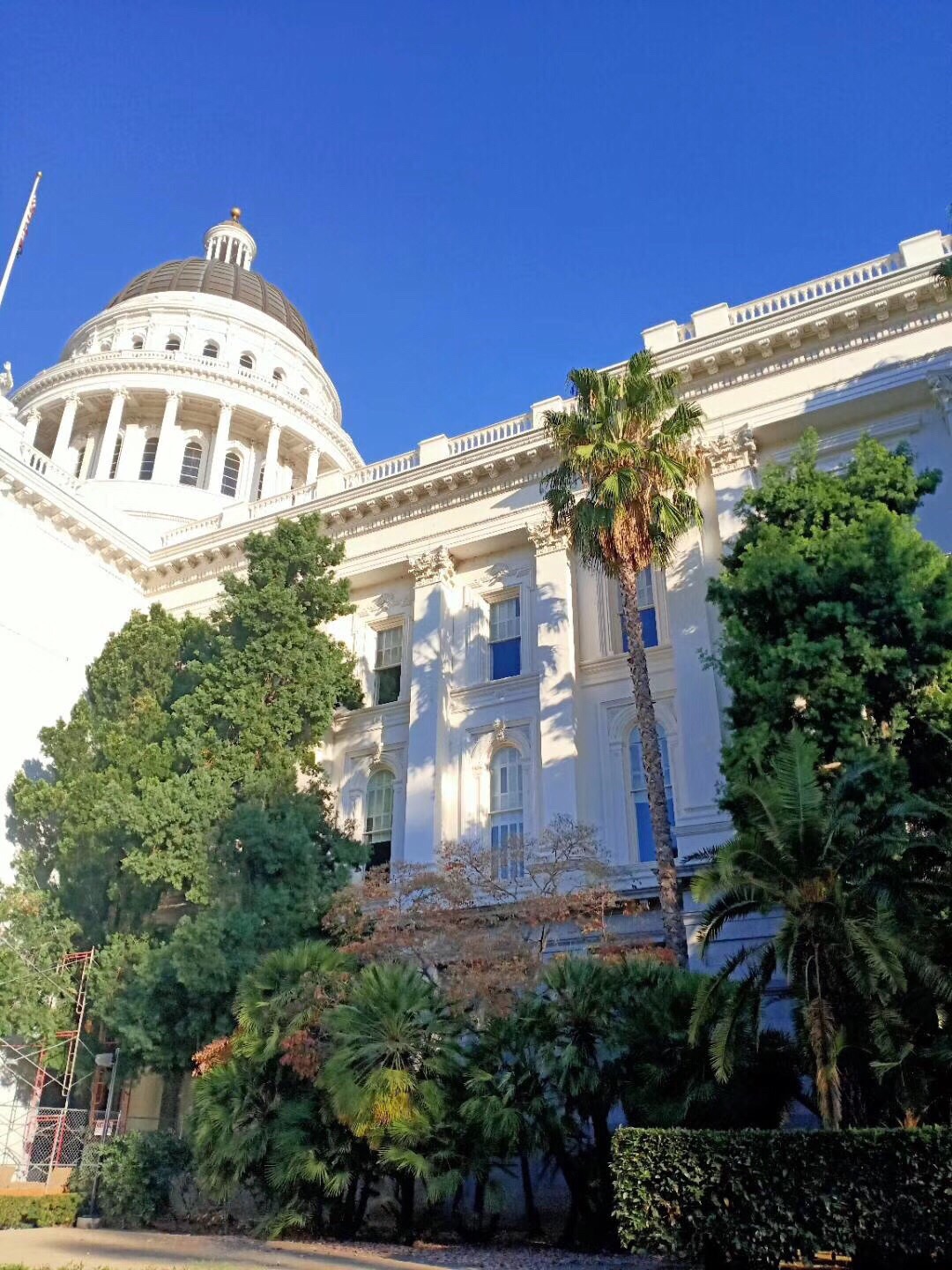 今天去了斯瓦辛格曾经工作过的地方，加州州议会大楼参观。议会大楼特色是以现代科技重现了古典的风格。 加