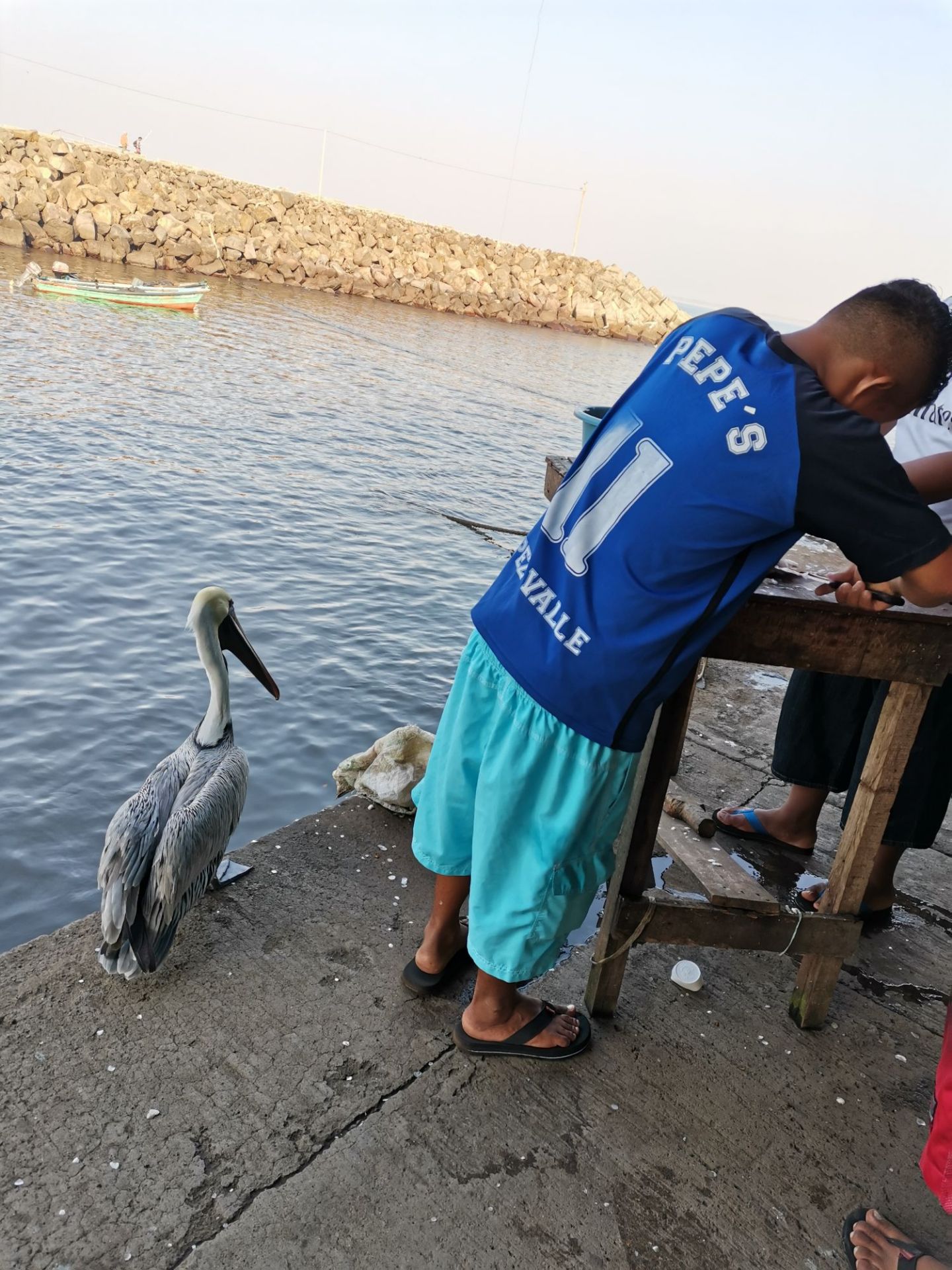 清早，Acajutla港附近小渔港买鱼去……