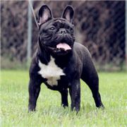 胖纸被迫要改名