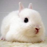 刘刘刘刘刘刘雅芳