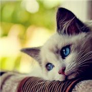 要一个特别的名字好难