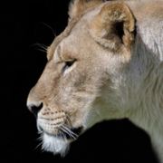 田田田田田田田七