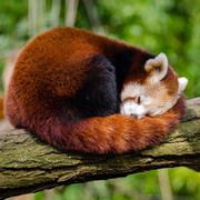 动感超人他来了