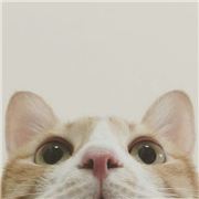 原来是童花順子