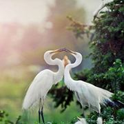 幸福延续有你有我