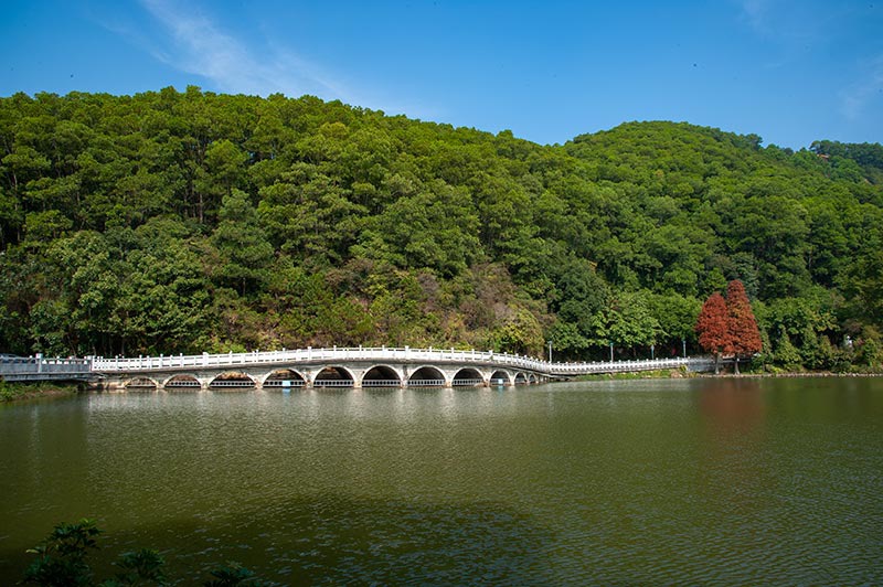 深圳仙湖植物园及弘法寺春节实行入园网上预约、限制人流
