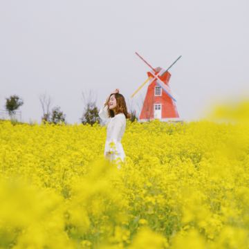 【汉中油菜花1日包车游】龙湾花海~杨家山花海~武侯祠~天师堂