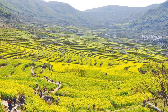 覆卮山景区