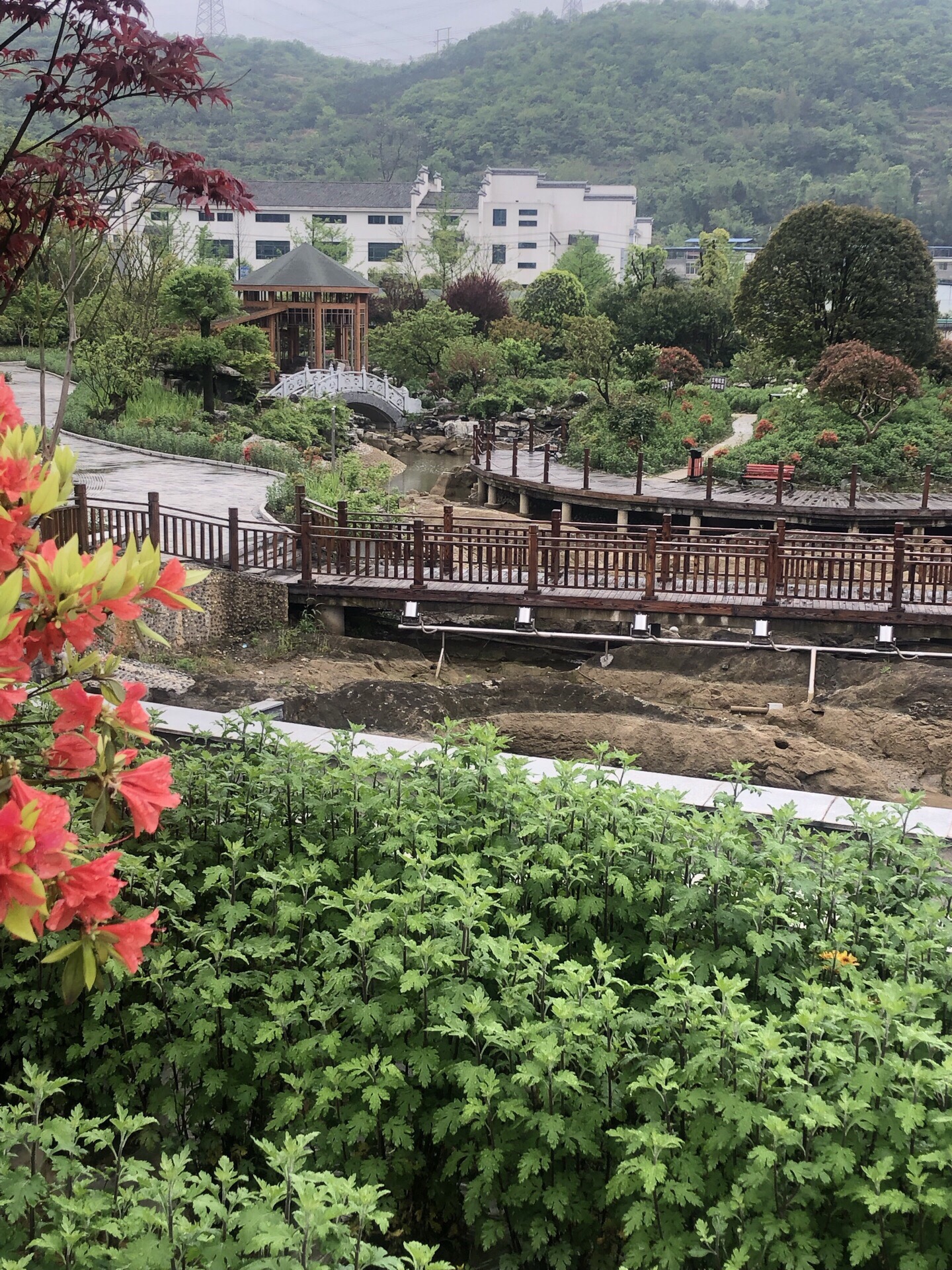 播州区播雅湿地公园