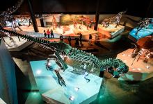 休斯顿自然科学博物馆景点图片