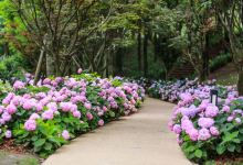 红石公园景点图片