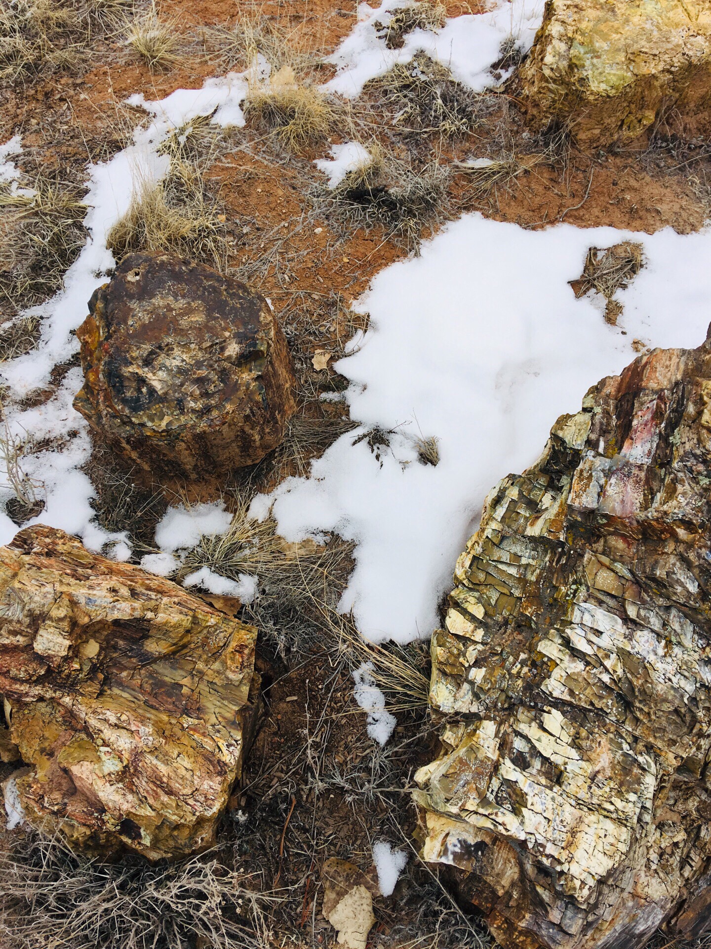 这些树玉就这样躺在冰天雪地中，虽然原始，但有点暴遣天物的感觉