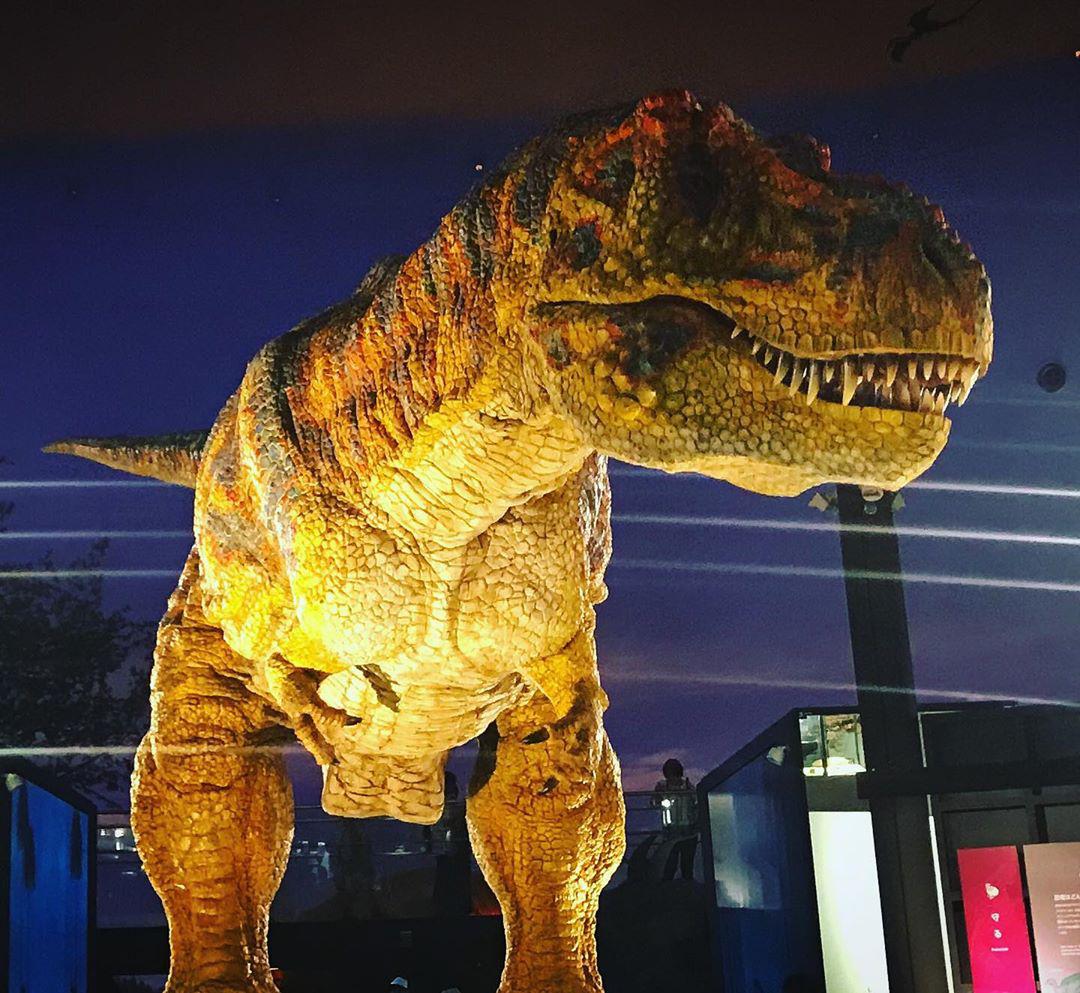 小朋友最喜欢的博物馆，超级神奇  ✨自从陪小侄子看了电影侏罗纪公园后，他就老是闹着要来看恐龙。今天我