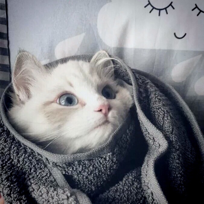 鸣悦休闲广场