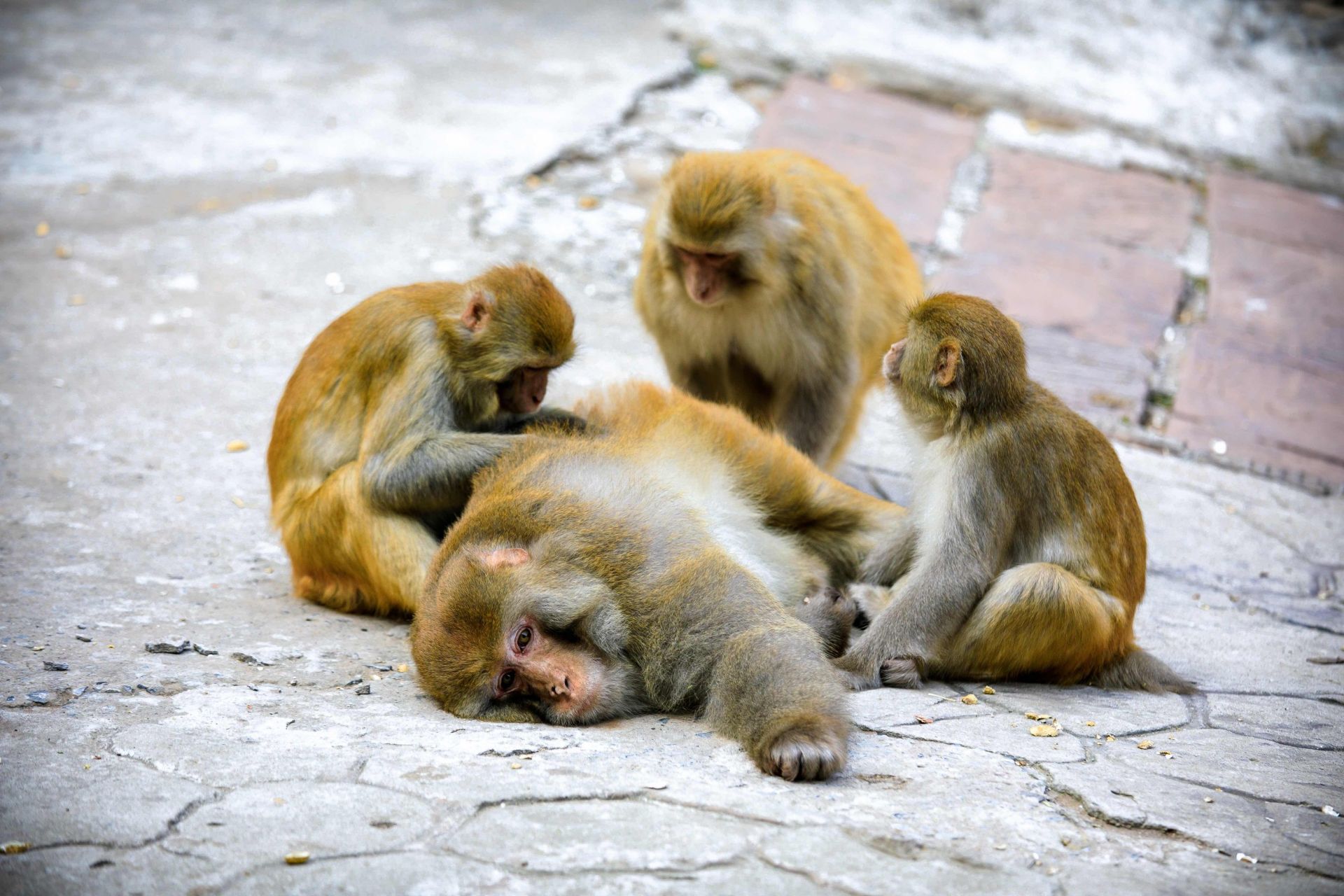 3-Day Jiyuan Tour: Jidu Temple and Wanfo Mountain Grottoes, Huanghe Three Gorges' magnificent scenery