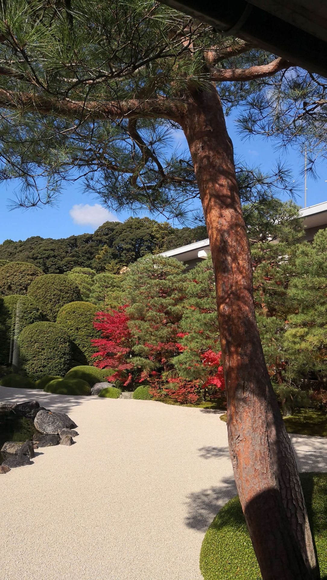 足立美术馆位于岛根县的安来市，创办于1970年，连续十一年蝉联日本庭园第一。