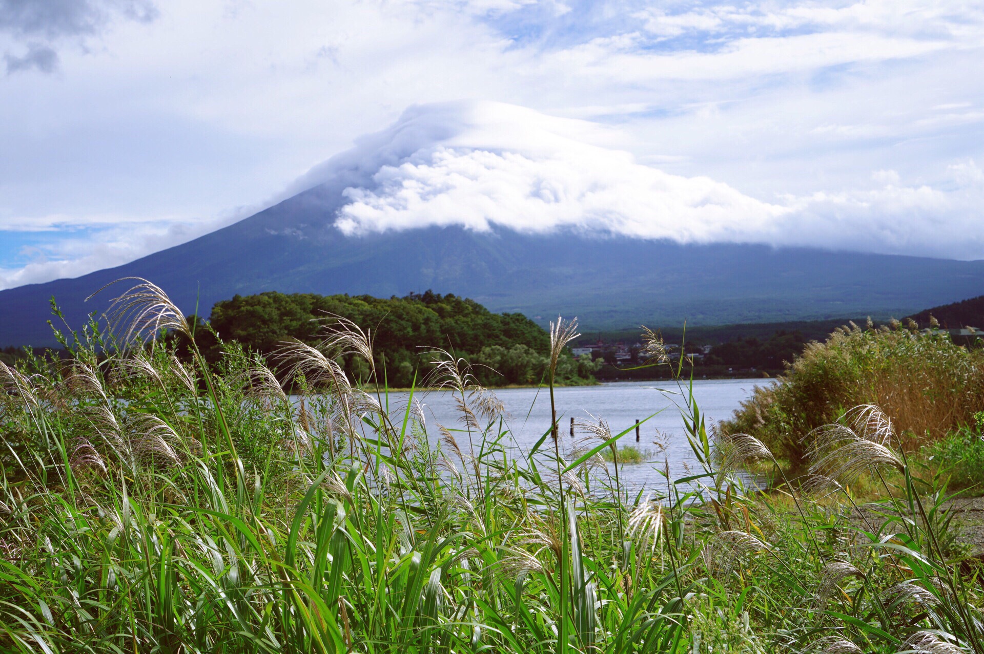 富士山 一日游的正确打开方式 第一次去见富士山，如果想多看看那边的风景，可以报个一日游的团。  💛出