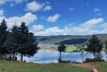 香格里拉普达措国家公园一日游【市区接送/体验原始森林】【亲近自然，尽情森呼吸~】