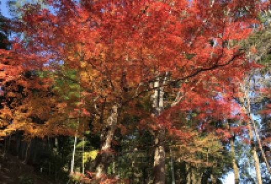 川见町景点图片