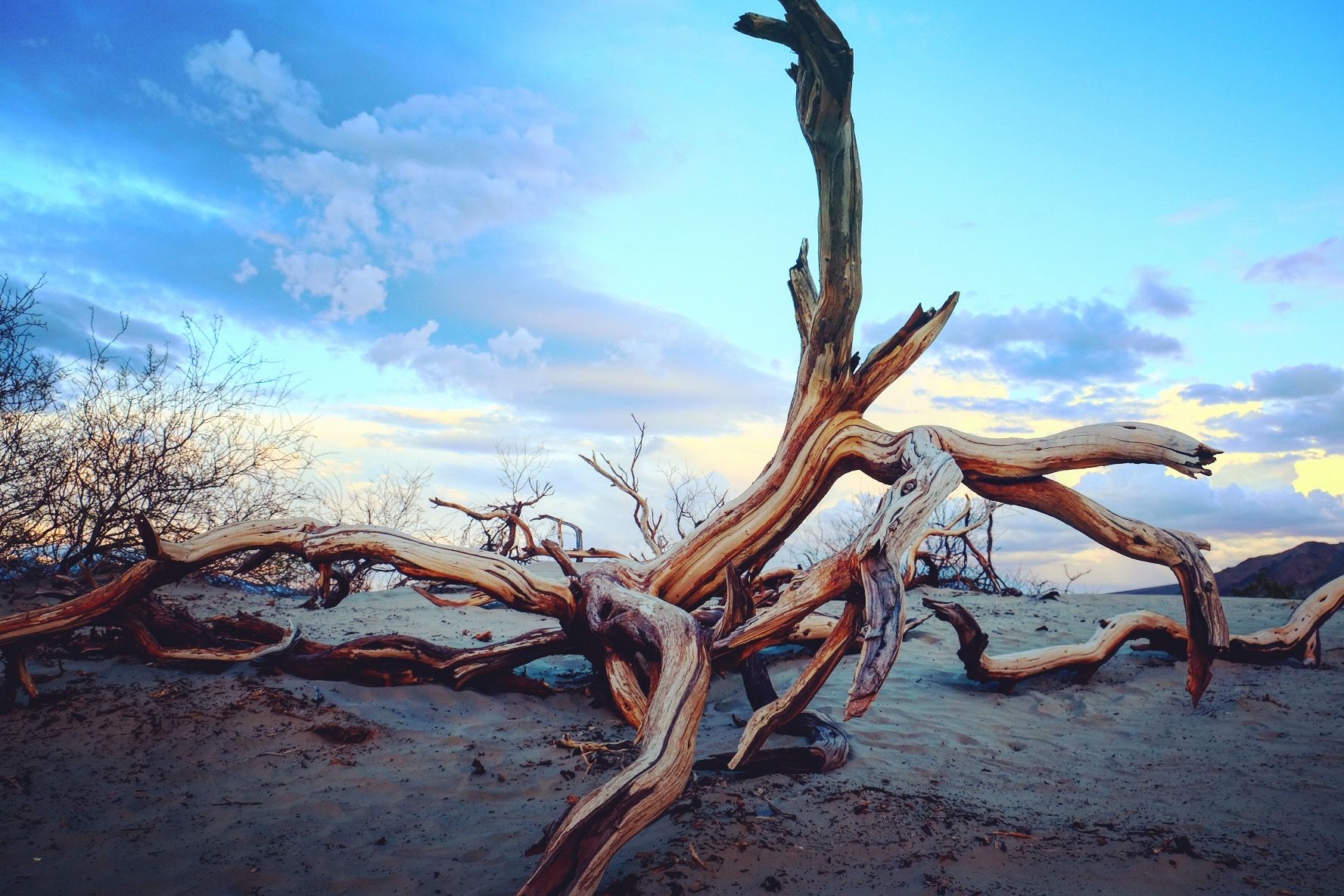 死亡谷国家公园 是目前最好玩的公园 沙漠的枯树 坏水 石头与拱门 握不住的沙  拱门 独特风貌的山峰