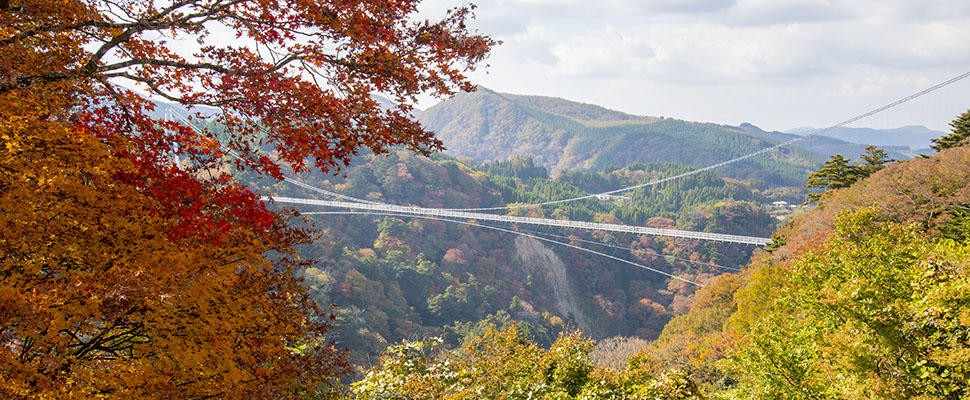 日本九重“梦”大吊桥是2004年5月主体开始施工，耗时2年半后，终于在2006年10月30日竣工，当