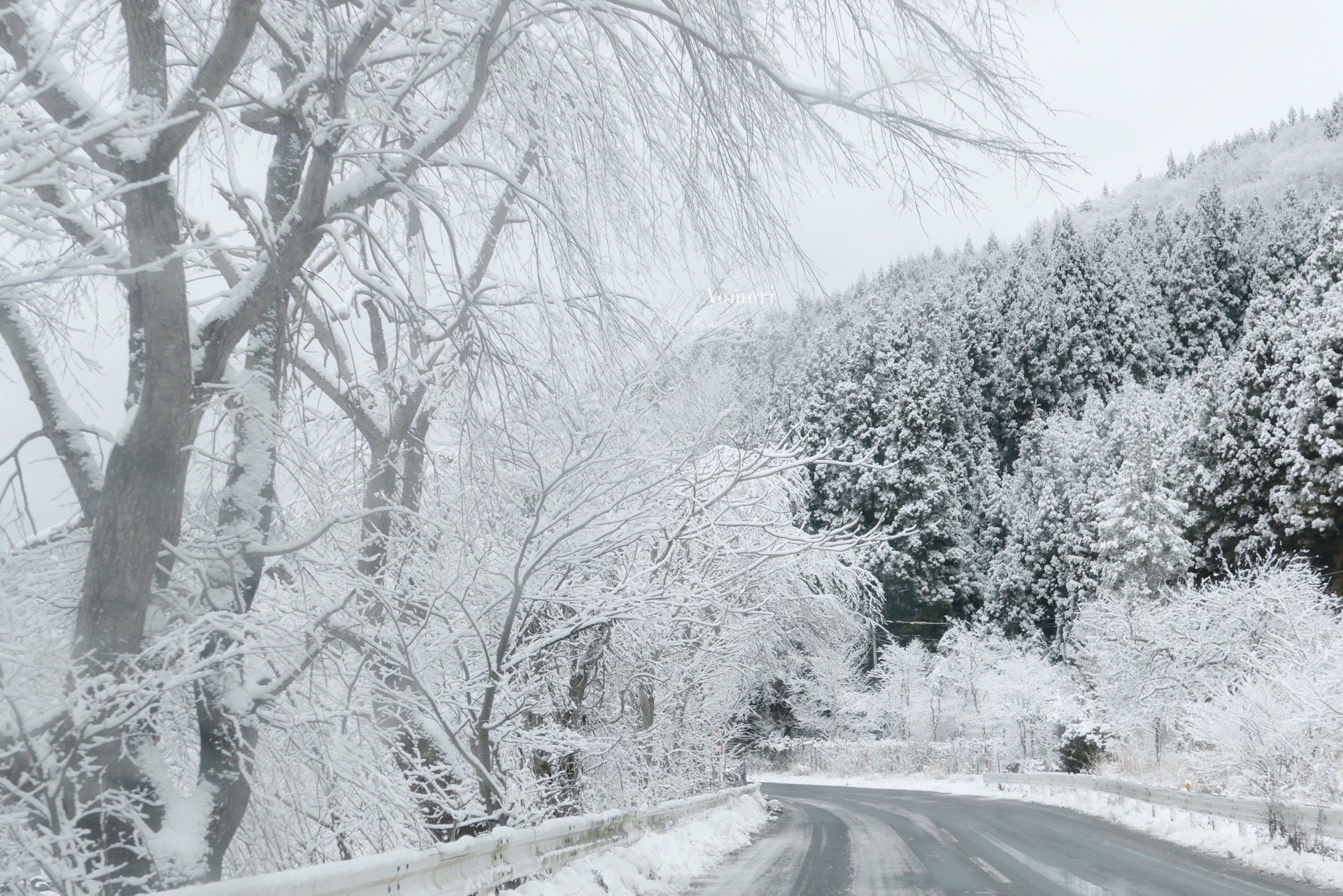 【日本青森】穿梭在雪森林，奔向那雪世界 从青森屋到八甲田本应半小时不到的车程，但是因为大雪封路，我们