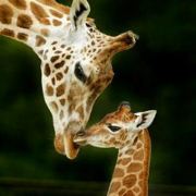 微笑的心迹随笔