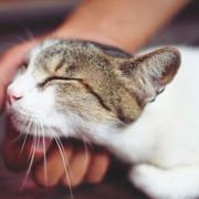 取个坑爹的名字