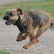 回不到过去珍惜吧