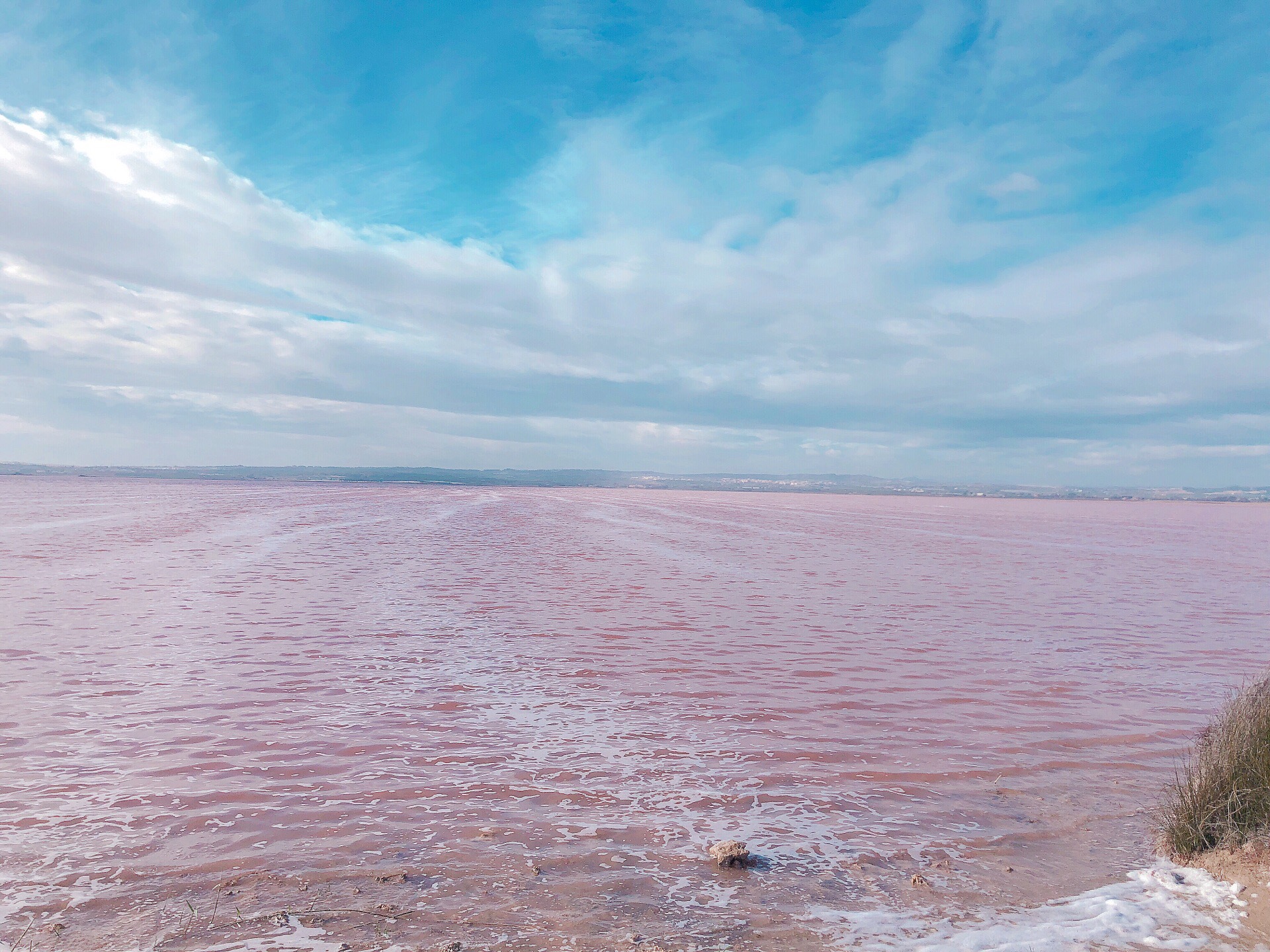 #西班牙[地点]##西班牙[地点]#粉色盐湖—托雷维耶哈盐湖  🌟西班牙托雷维耶哈盐湖，1989年被