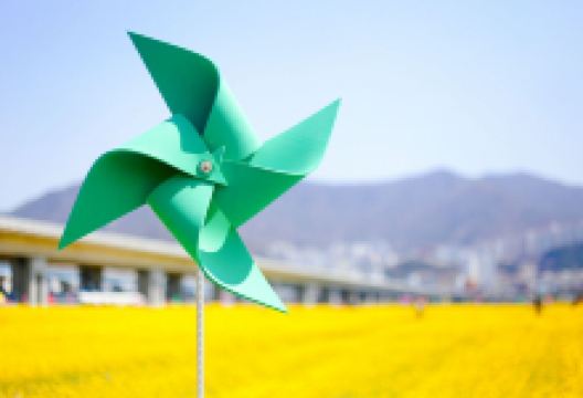 大渚生态公园景点图片