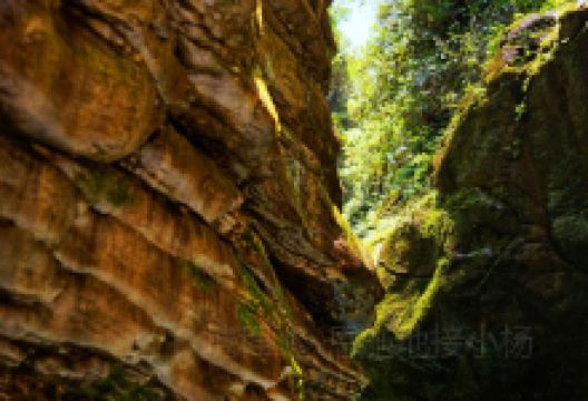 八峰森林公园景点图片