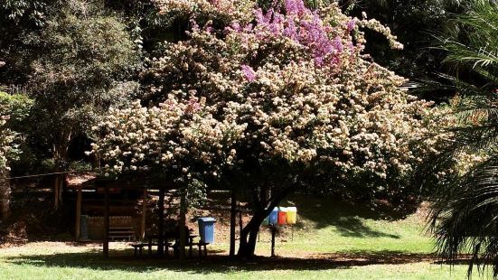 Parque Estadual da Cantareira