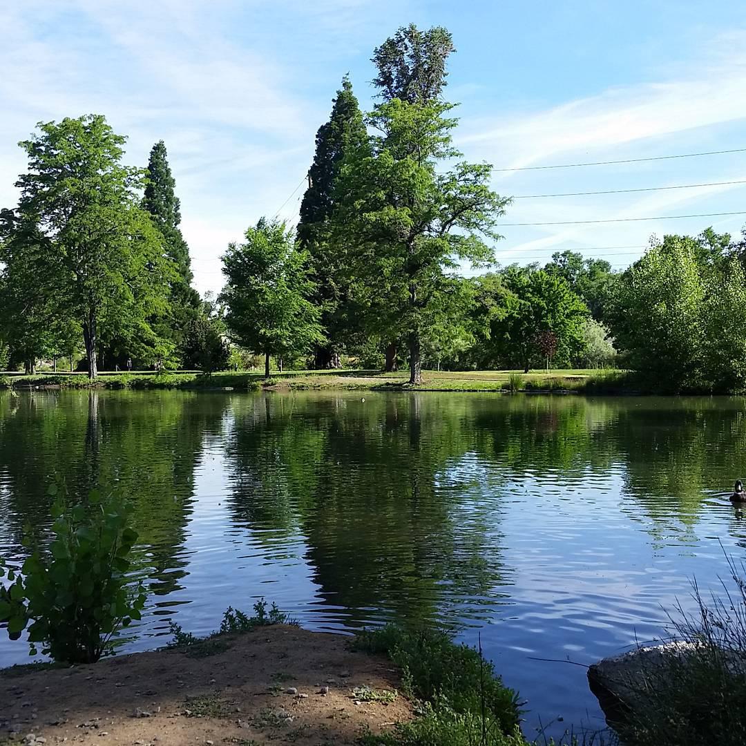 宁静的公园 来到里诺一定要去的一个景点就是Idlewild Park，这是一个非常好的亲子游的地方，