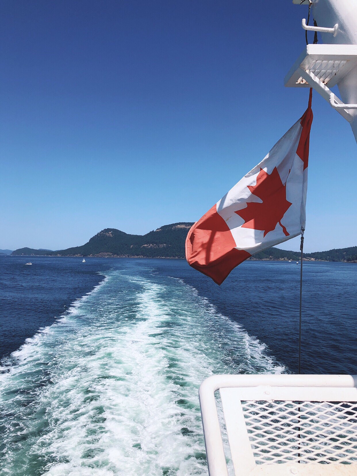 加拿大之旅的尾声…… 乘船从温哥华来到维多利亚。船上热情的小男孩👦不停的和我说着什么🤔，可惜我理解不